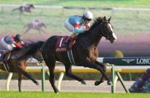 イクイノックス、ダノンベルーガは菊花賞に出てたら勝ててたんじゃね？