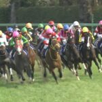 【競馬】10/23(日) 第83回菊花賞(GⅠ) 【10】ドゥラドーレス人気しすぎ