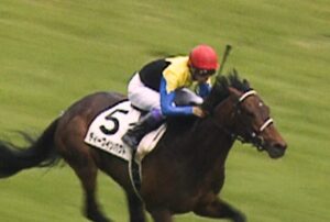 【競馬・スプリンターズS】メイケイエール弱すぎワロタ