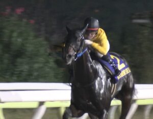【競馬】ジャックドールの鞍上を武豊に変えろ