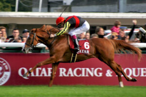 凱旋門賞に挑戦した歴代日本馬の成績がこちら