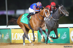 日本馬は凱旋門賞なんかやめてサウジカップ目標にしようぜ