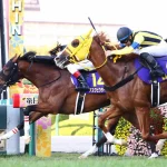 【悲報】クラシック競走、どれも距離が長すぎる