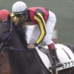 【競馬】タイトルホルダー VS イクイノックス