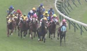 【競馬】10/30(日) 第166回天皇賞(秋)(GI) 枠順確定！