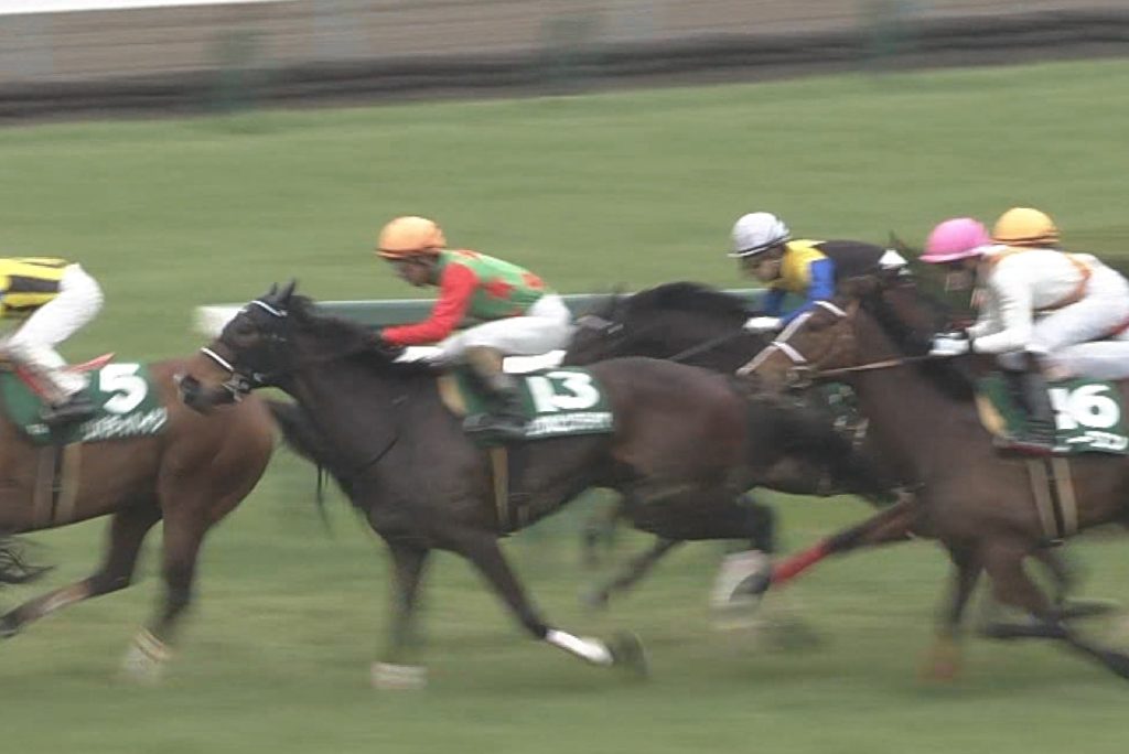 【競馬】シゲル○○でお馴染みの森中蕃さん死去