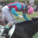 【競馬】悲報…スターズオンアース、繋靭帯炎発症