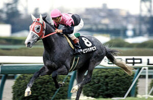 G1初勝利が菊花賞の馬で好きな馬