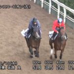【富士ステークス2022】追い切り/動きを見極め勝利に近づけ