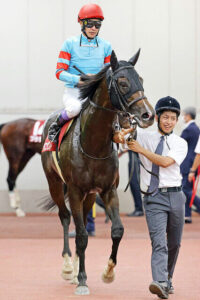 【菊花賞】ヤマニンゼスト武豊が10番人気とかなめられすぎｗｗｗ
