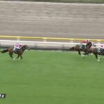 【サウジアラビアロイヤルカップ2022】結果・動画/ドルチェモアが差し切りV