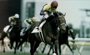 【競馬】完全に武史　東京でも武史