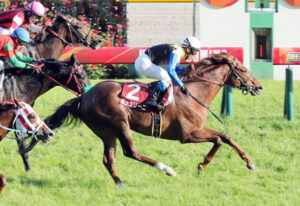 【競馬予想】[2]第57回京都大賞典(GII) /2022