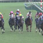 【競馬・秋華賞】サウンドビバーチェ、またまた放馬