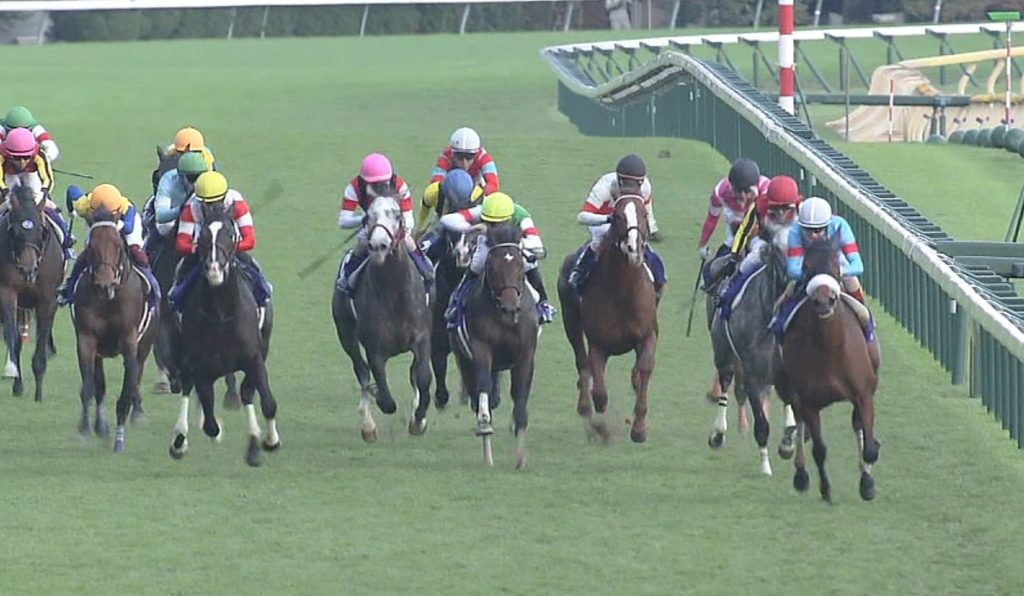 【競馬・秋華賞】サウンドビバーチェ、またまた放馬