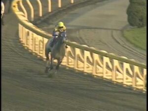 【競馬】2001年ジャパンカップダートの直前ってどんな雰囲気だったの？