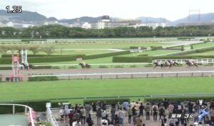 【競馬】阪神3Ｒ新馬戦　武豊騎乗のエコロアレスが逃げ切りＶ