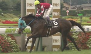 【競馬】オジュウチョウサン今年の中山大障害で引退