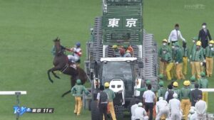 ゲートをぶっ壊したダノンザキッド氏、10/30日まで出走停止のあと再審査の判決