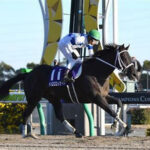 重賞7勝チュウワウィザード引退 種牡馬入り