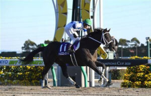 重賞7勝チュウワウィザード引退 種牡馬入り