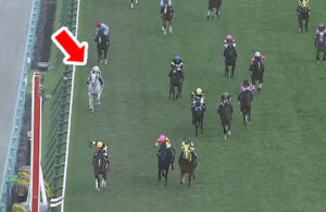 ガイアフォース杉山調教師「敗因は１番枠がすべて」