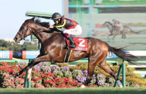 ジェラルディーナはCデムーロでエリザベス女王杯へ