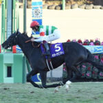 キラーアビリティがアルゼンチン共和国杯で復帰