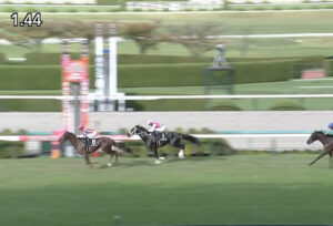 幻の秋華賞馬ピンハイ