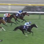 【天皇賞秋2022】結果・動画/イクイノックスが見事に差し切る