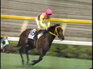 【競馬】サニーブライアンで大西が皐月ダービー勝つって今の騎手なら誰が勝つぐらいの驚き？