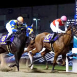 ショウナンナデシコが重賞5連勝ならず敗れた件