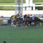 【競馬】菊花賞は田辺騎乗のアスクビクターモアがレコードでV
