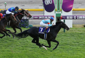 【天皇賞･秋】イクイノックス強すぎワロタwwwwww