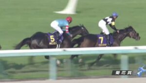 【競馬】菊花賞　6着ヤマニンゼスト武豊『4角でうまくさばけなかったのがもったいなかった』