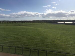 【競馬】10/23(日) 第83回菊花賞(GⅠ) 【11】田原の展開予想