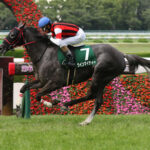 【競馬予想】[1]第57回京都大賞典(GII) /2022