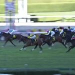 【競馬】カシオペアSは武豊騎乗のアドマイヤビルゴが逃げ切りV