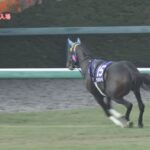 サウンドビバーチェ放馬アゲイン