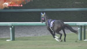 サウンドビバーチェ放馬アゲイン