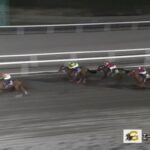 【エーデルワイス賞2022】結果・動画/マルカラピッドが突き抜け圧勝