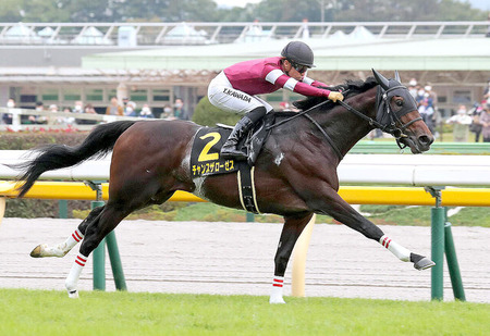 【アイビーS】藤田晋オーナーのチャンスザローゼスが快勝！