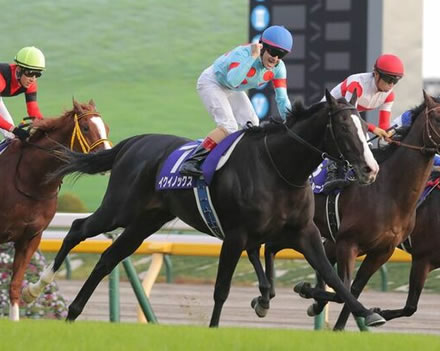 【天皇賞･秋】3歳イクイノックスが古馬勢一蹴！悲願のＧ１初制覇