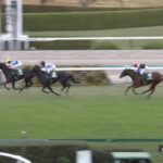 【ファンタジーステークス2022】出走予定馬・騎手/華麗奔放