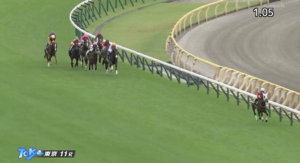 捕まえられるドルチェモアって強くない？