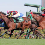 【競馬予想】[2]第27回秋華賞(GⅠ) /2022