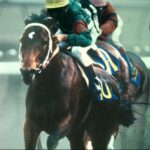 【競馬】今週から日本で騎乗する女性騎手ドイルの体格wwwwwwwww