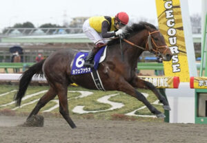 【競馬予想】第35回マイルチャンピオンシップ南部杯(Jpn1/盛岡) /2022