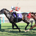 【スプリンターズS】波乱!8番人気ジャンダルムが先行押し切りV!人馬共にG1制覇