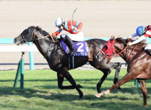 【悲報】スプリンターズS、レーティングが2年連続でG1基準値を下回る